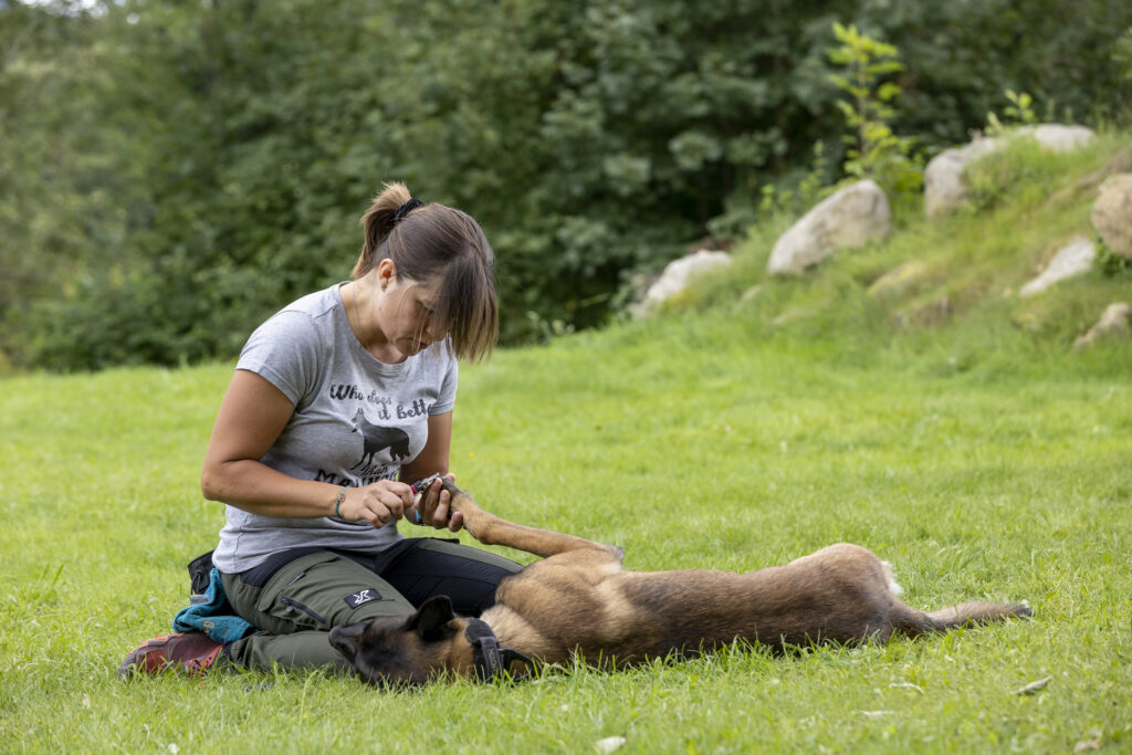 kobieta z psem w trakcie treningu obcinania pazurków