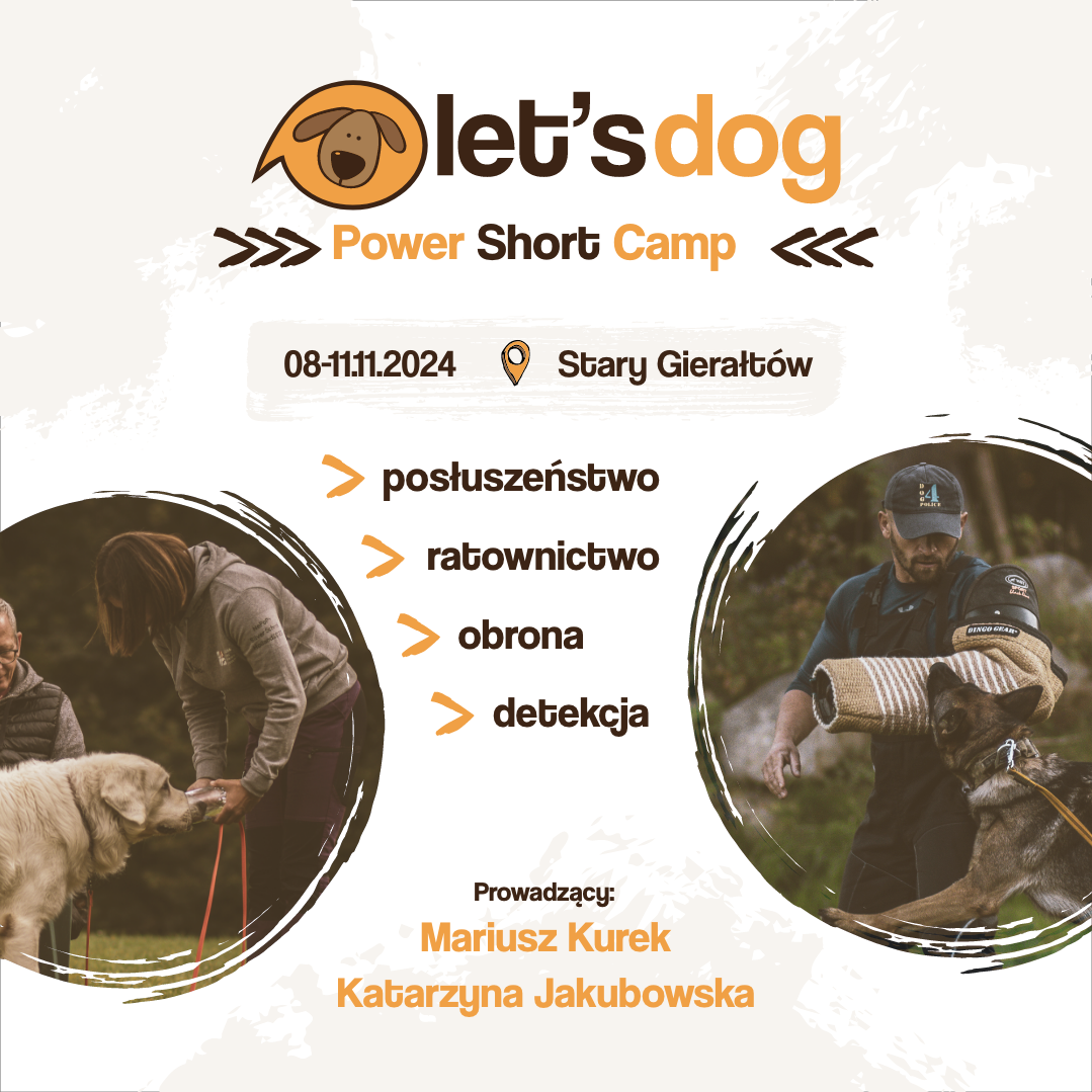 Power Short Camp