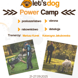 POWER CAMP