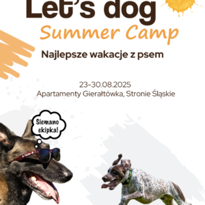 Summer Camp